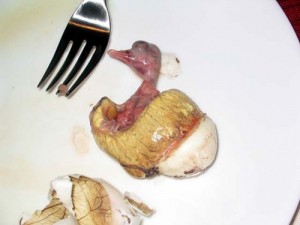 balut egg duck disgusting food