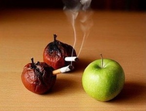 Funny Food