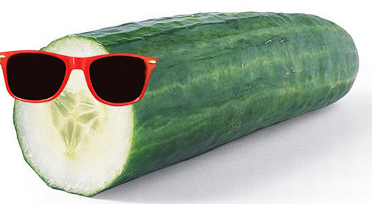 swaggled cucumber