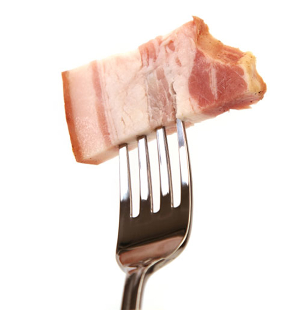 bacon fat on a fork