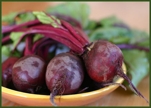 beets1