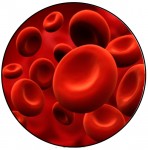 blood_cells