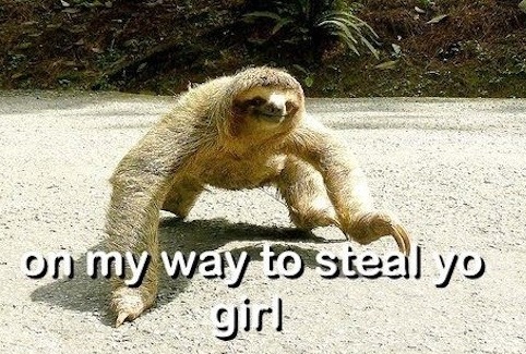 Sloth on my way to steal yo girl