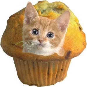 cat_muffin