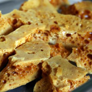Picture of dried honeycomb