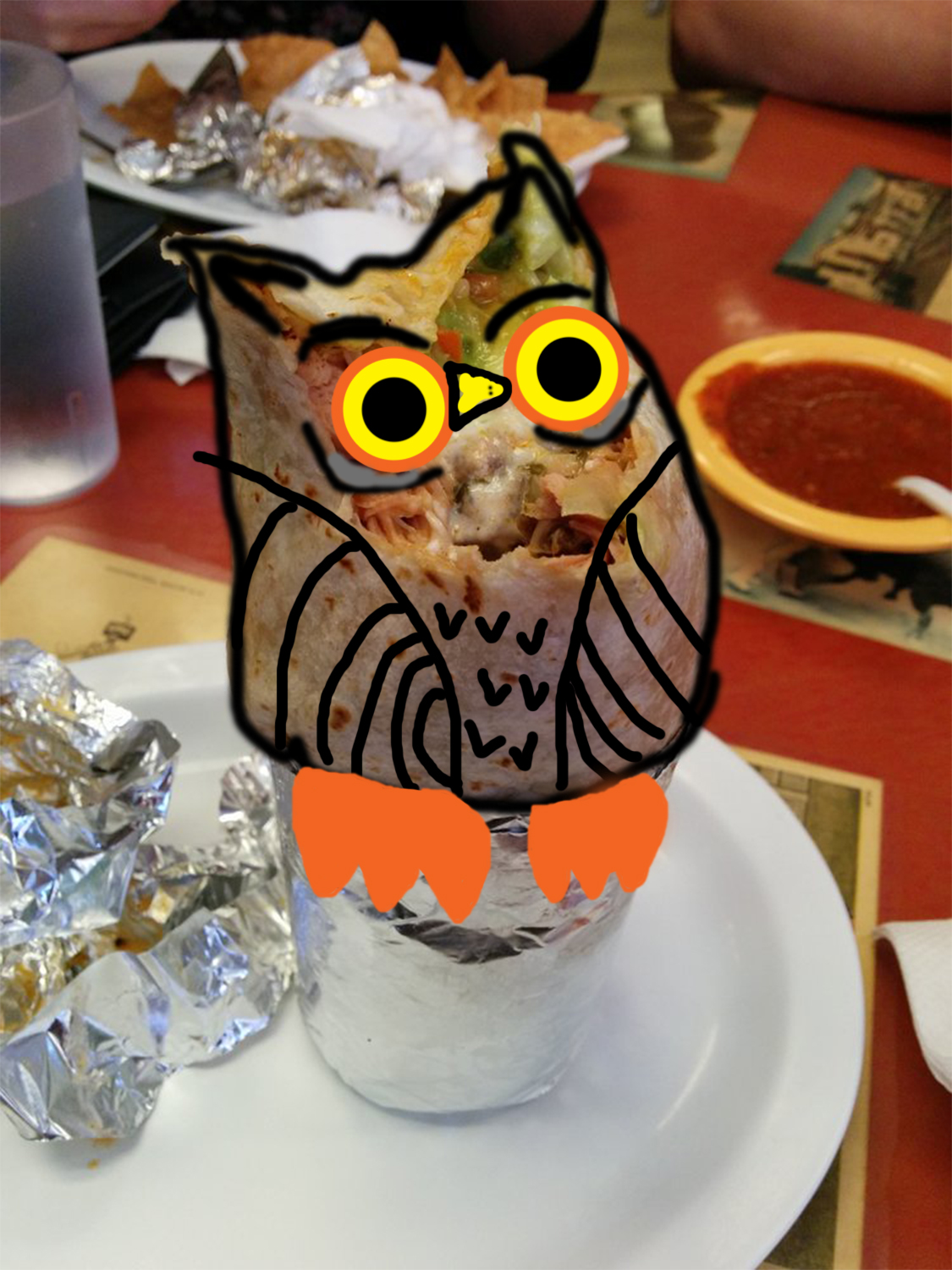 shit burrito owl 3